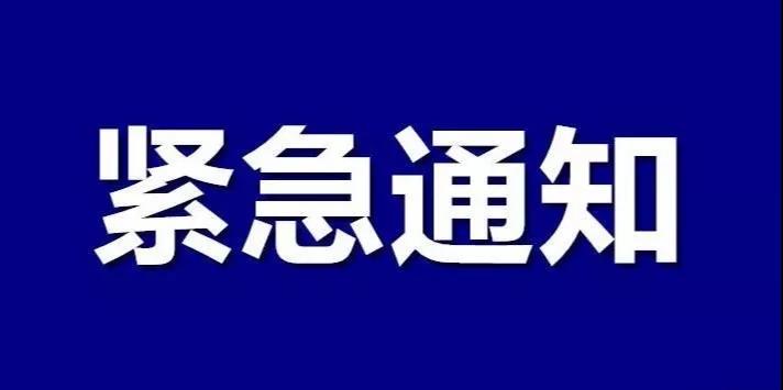 關于嚴格禁止全市中小學提前組織招生工作的緊急通知